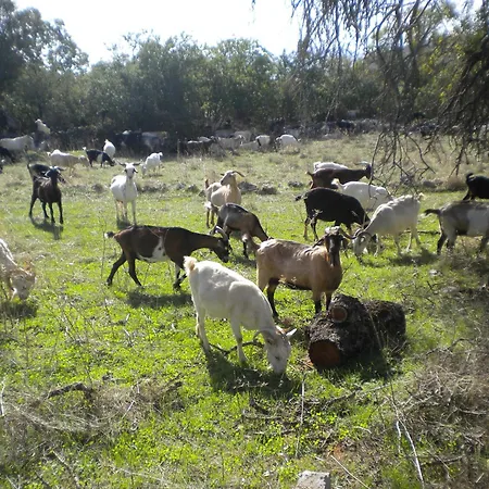 Welcoming With Garden In Leonidio Peleta