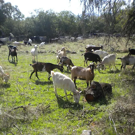 Welcoming With Garden In Leonidio Holiday home *