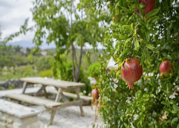 Nyaraló Welcoming With Garden In Leonidio