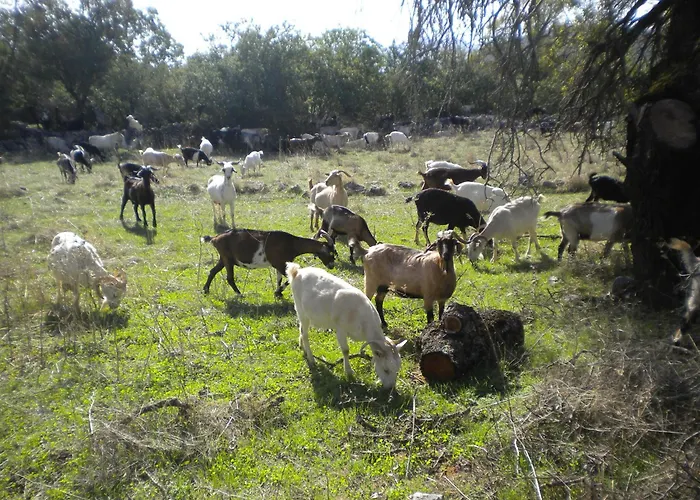 Welcoming With Garden In Leonidio Nyaraló *