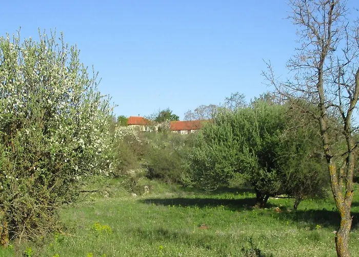 Welcoming With Garden In Leonidio * Peleta